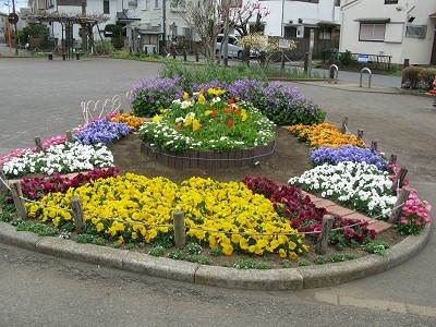 写真 5月の三角公園花壇