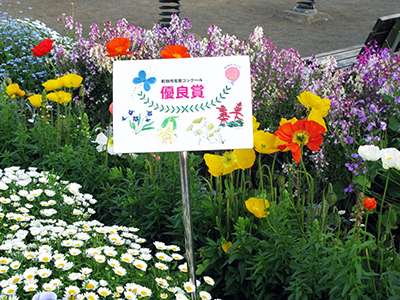 写真 三角公園2017年7月 2