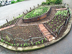 写真　三角公園2017年7月　3